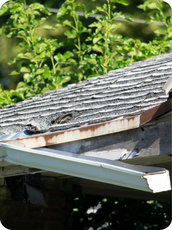 Roof Repair Emergency-1