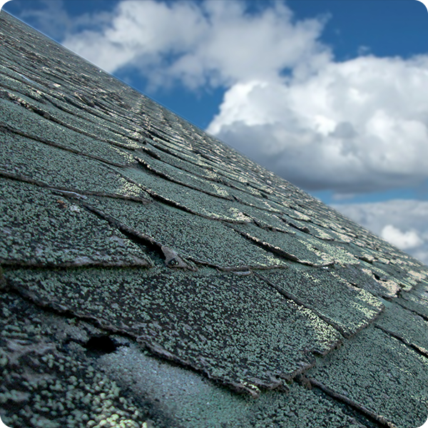 Damaged-Roof-Shingles